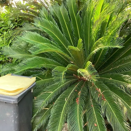 Beautiful Villa, 8p, Comfort, Quiet, Beaches&center Villa Antibes