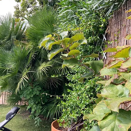 Beautiful Villa, 8p, Comfort, Quiet, Beaches&center Villa *