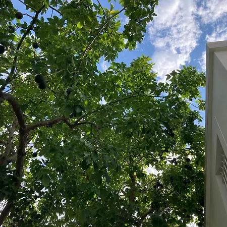 Villa Beautiful Villa, 8p, Comfort, Quiet, Beaches&center Antibes